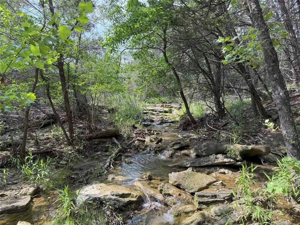 15 acres in Somervell County - photo 13
