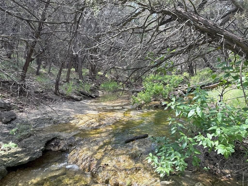 15 acres in Somervell County - photo 14