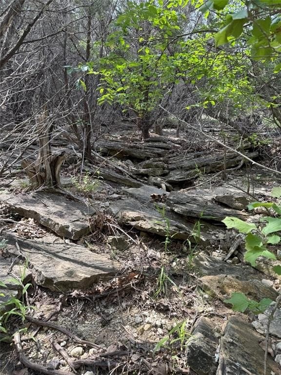 15 acres in Somervell County - photo 15
