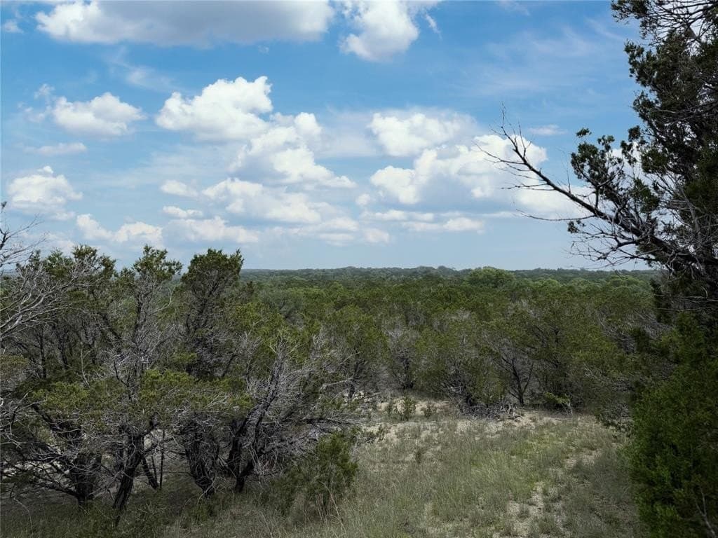 15 acres in Somervell County - photo 20