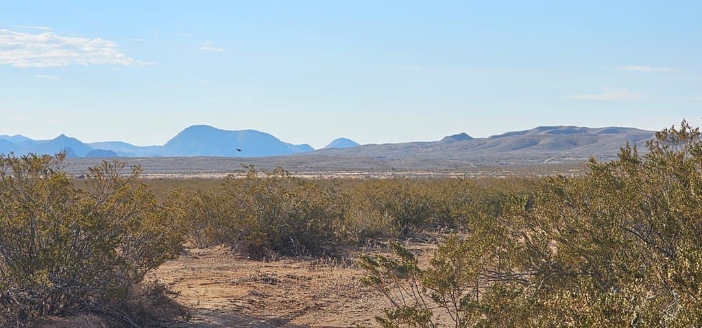 5 acres in Brewster County - photo 9