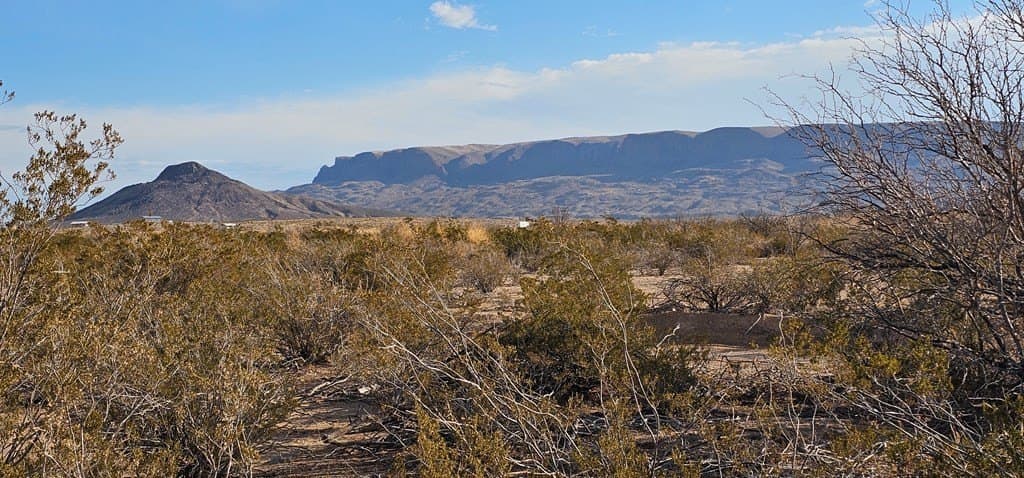 5 acres in Brewster County - photo 3