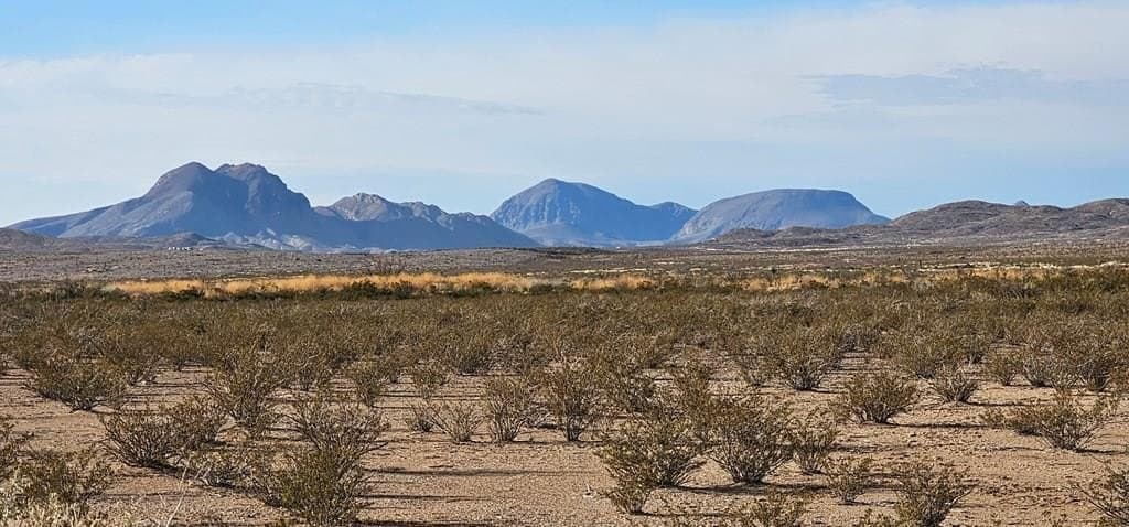 1580 Tennyson Desert Trail