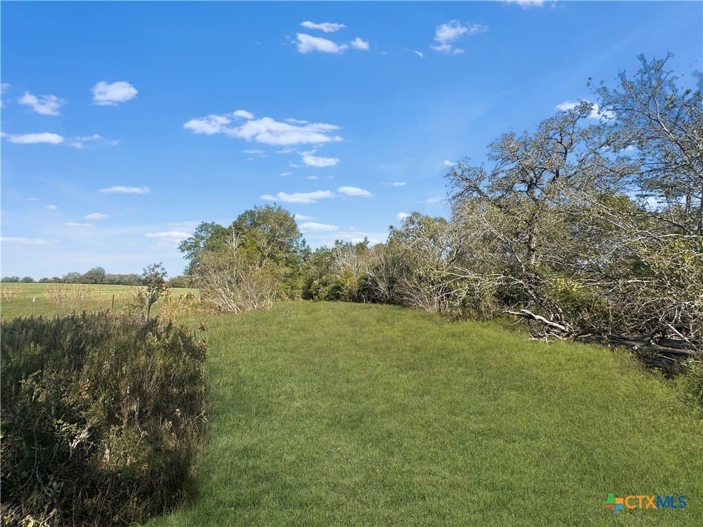 135.94 acres in Fayette County - photo 4