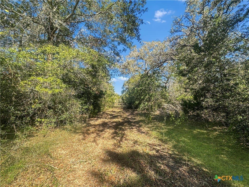 135.94 acres in Fayette County - photo 2