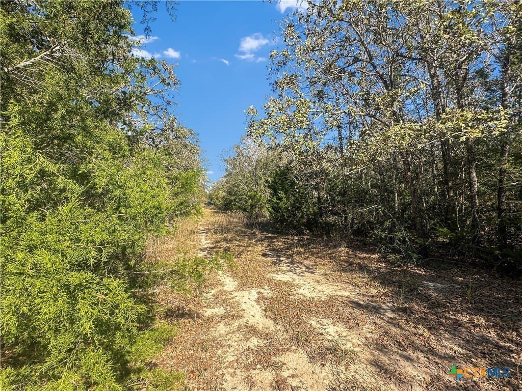 135.94 acres in Fayette County - photo 6