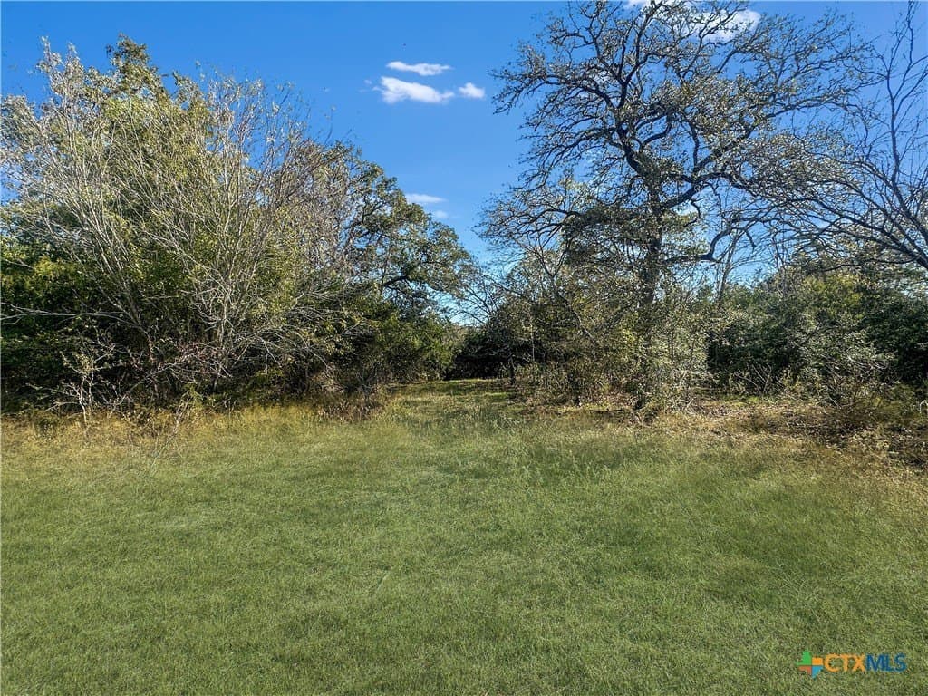 135.94 acres in Fayette County - photo 3