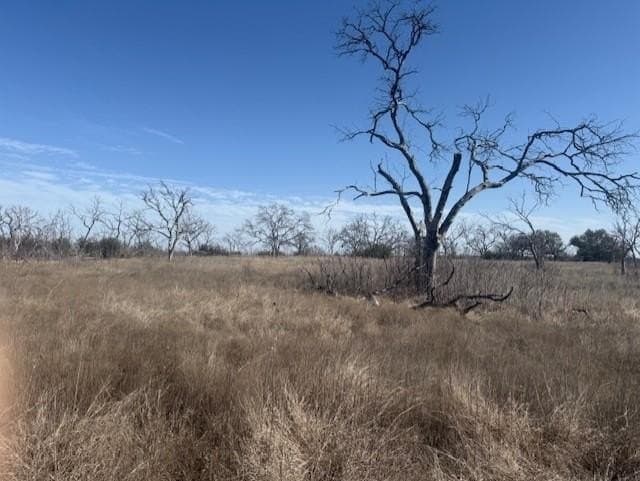 12 acres in Somervell County - photo 9