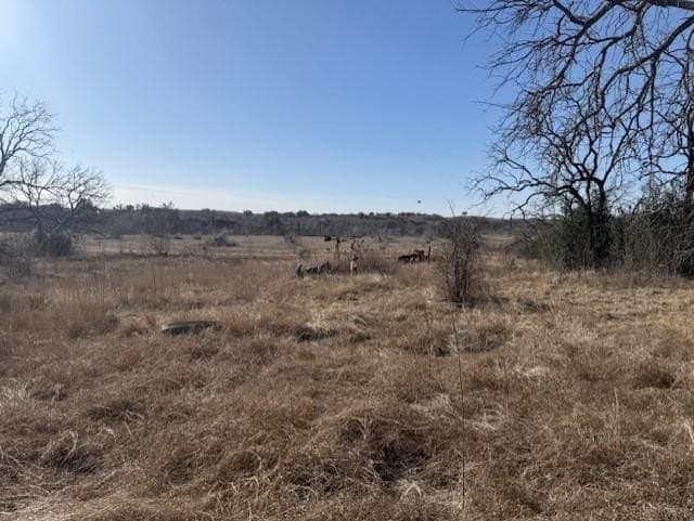 12 acres in Somervell County - photo 5