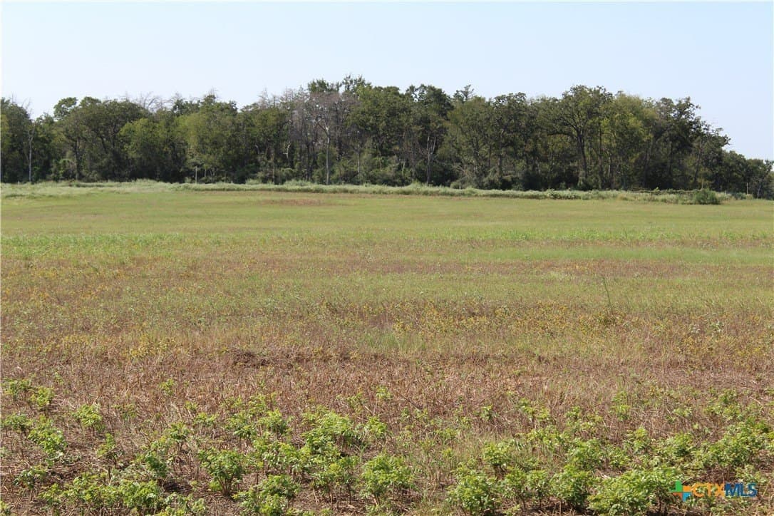 3.45 acres in Milam County - photo 3