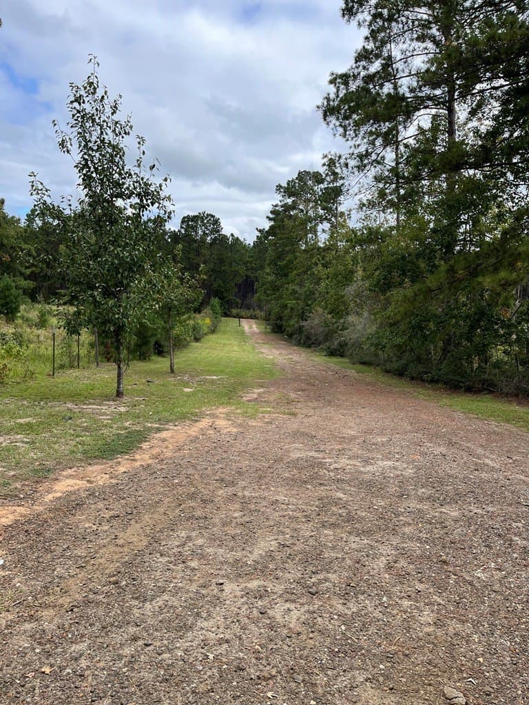 13.64 acres in Texas County - photo 16
