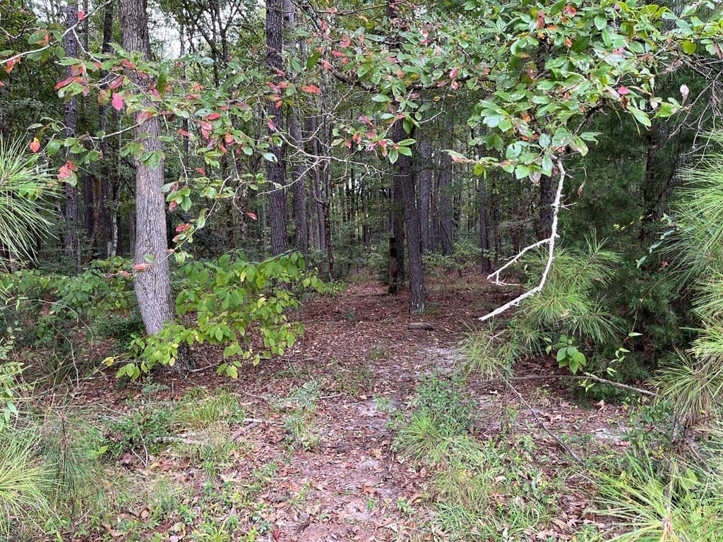 13.64 acres in Texas County - photo 11