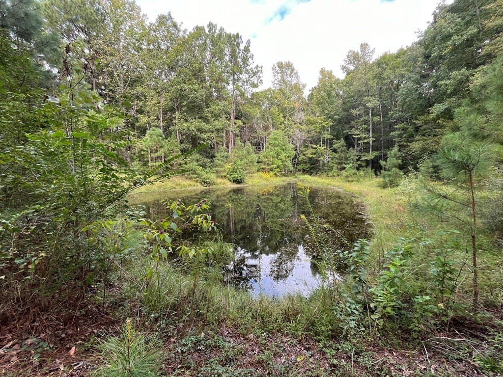 13.64 acres in Texas County - photo 13