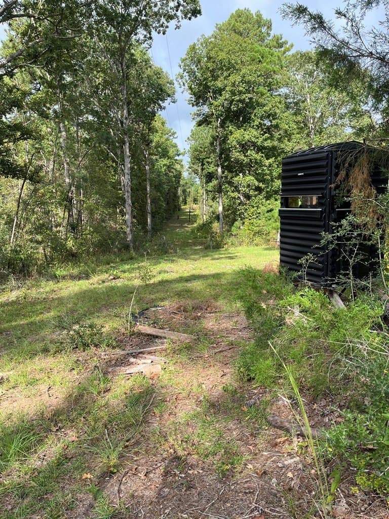 13.64 acres in Texas County - photo 15