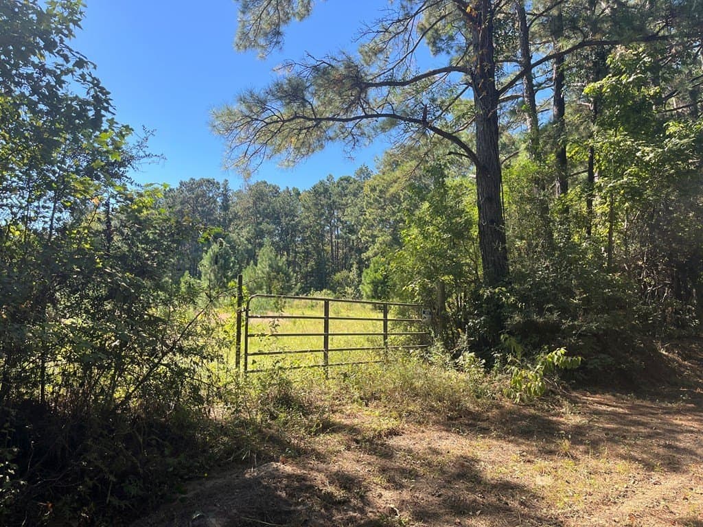13.64 acres in Texas County - photo 2