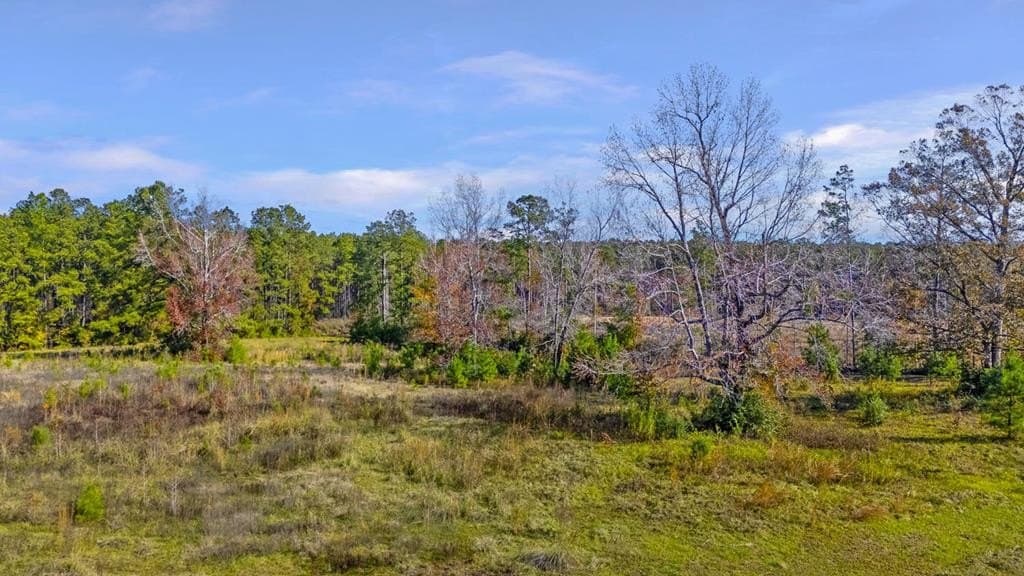 13.64 acres in Texas County - photo 31