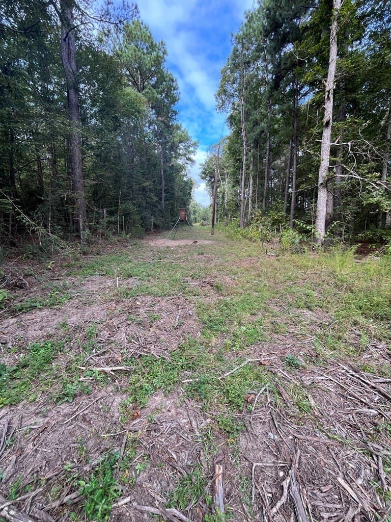 13.64 acres in Texas County - photo 12