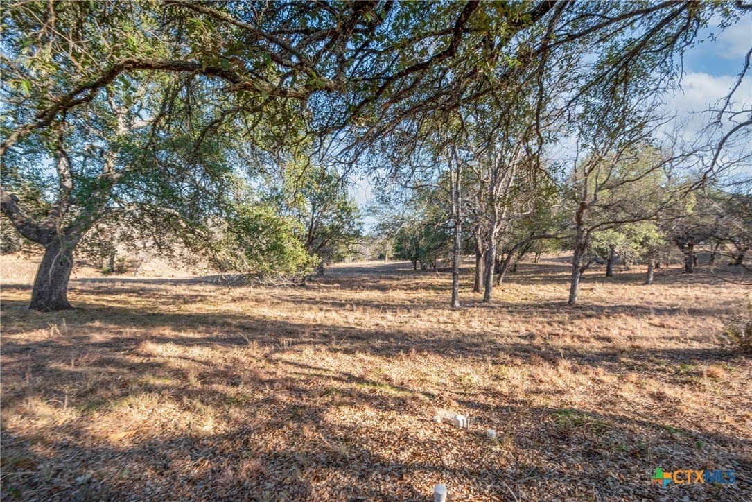 0.31 acres in Llano County - photo 5