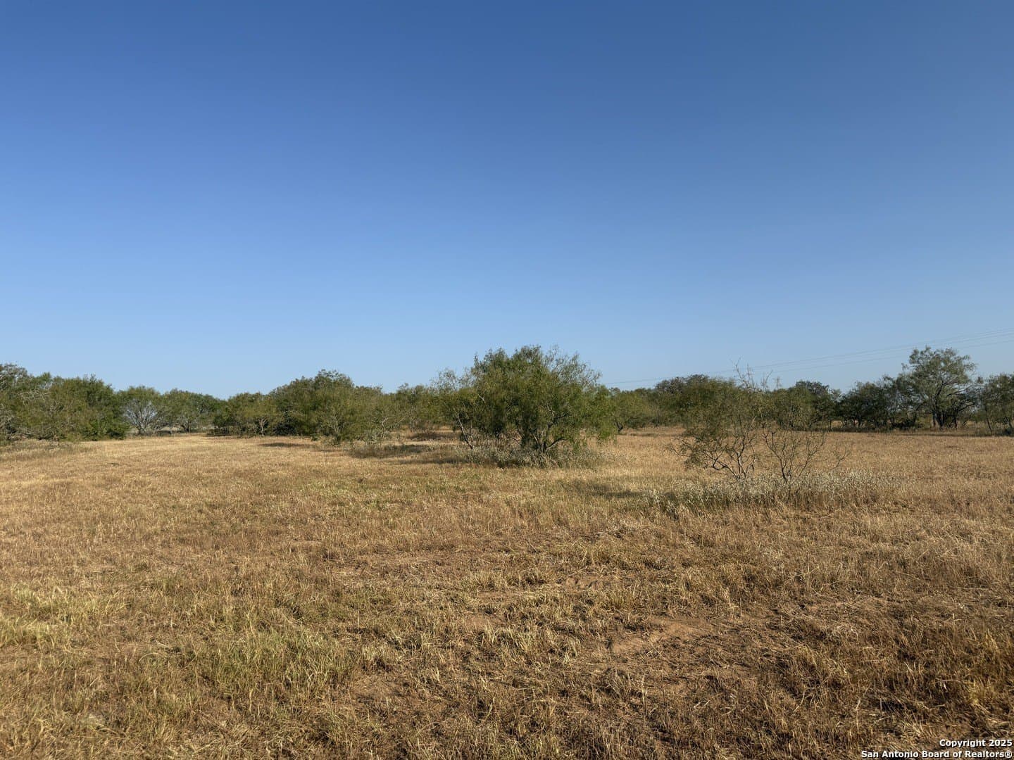 15 acres in Wilson County - photo 3