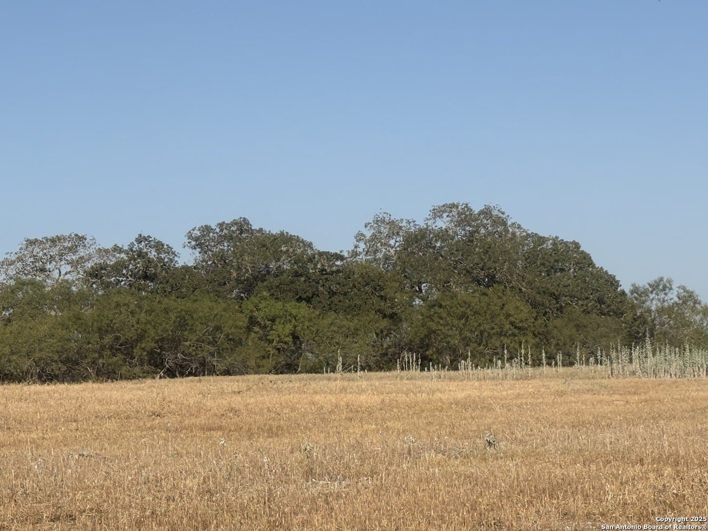 15 acres in Wilson County - photo 4