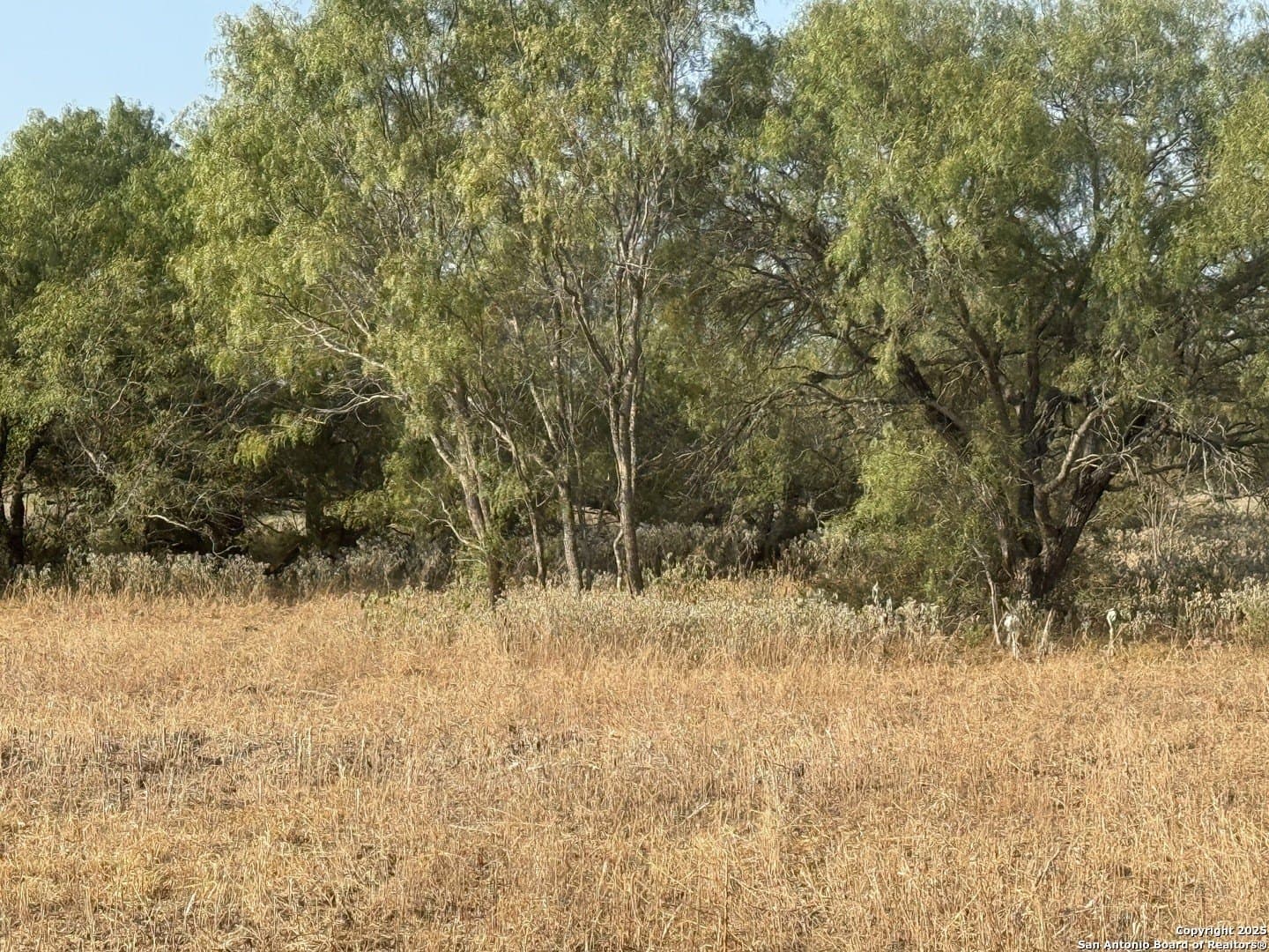 15 acres in Wilson County - photo 5