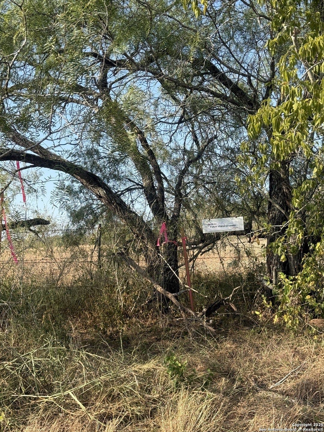 15 acres in Wilson County - photo 6
