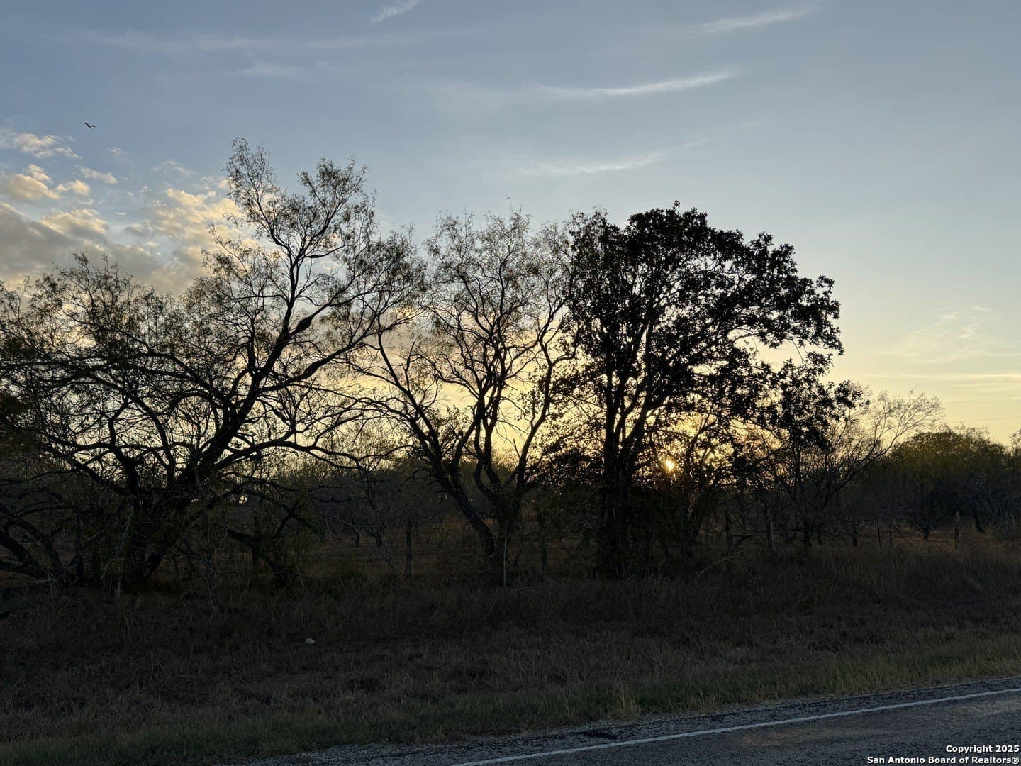15 acres in Wilson County - photo 2