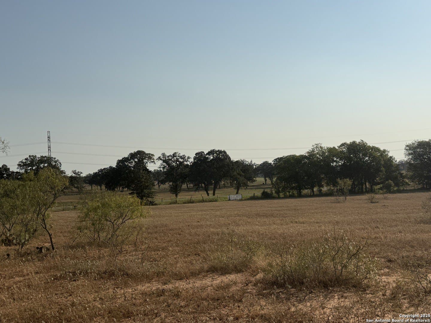 15 acres in Wilson County - photo 7