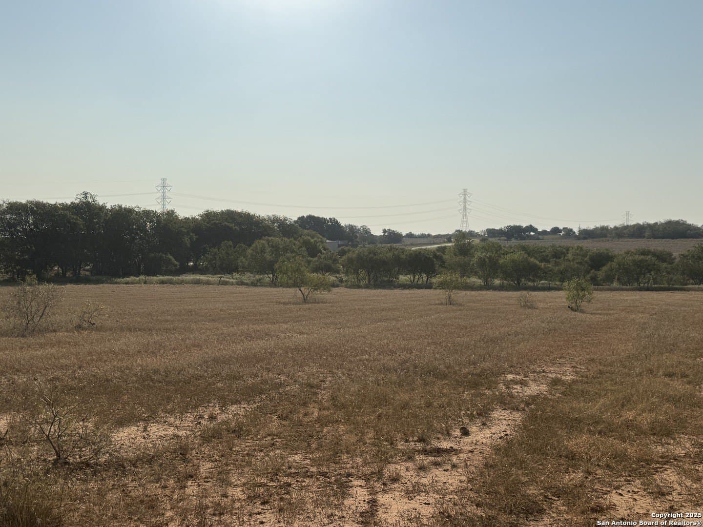 15 acres in Wilson County - photo 8