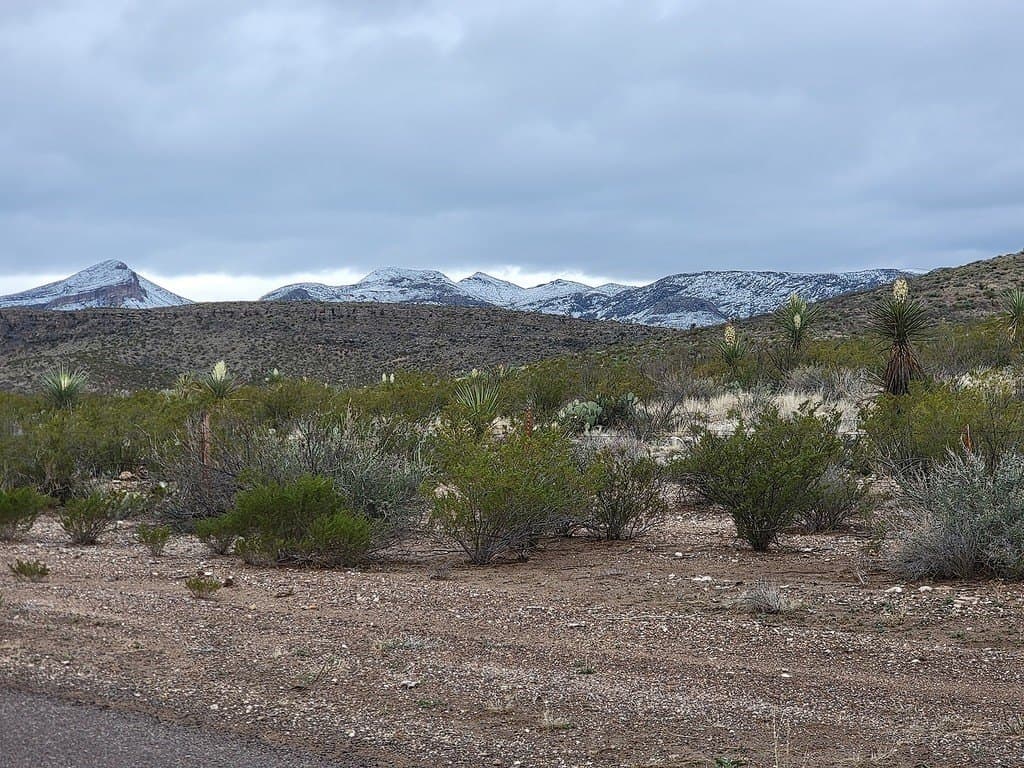 250 acres in Brewster County - photo 16