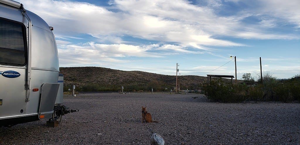 250 acres in Brewster County - photo 11