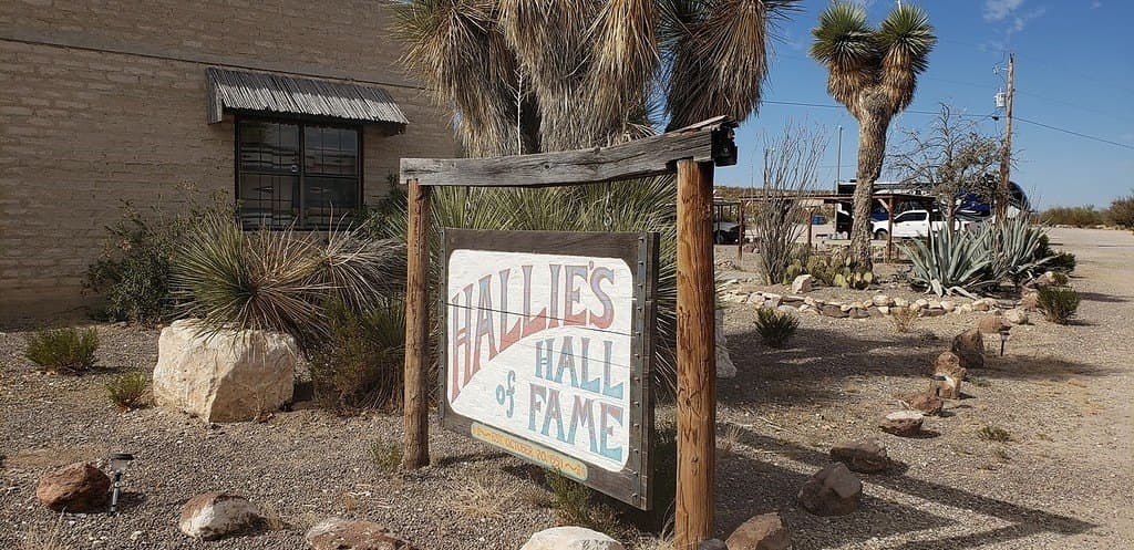 250 acres in Brewster County - photo 12
