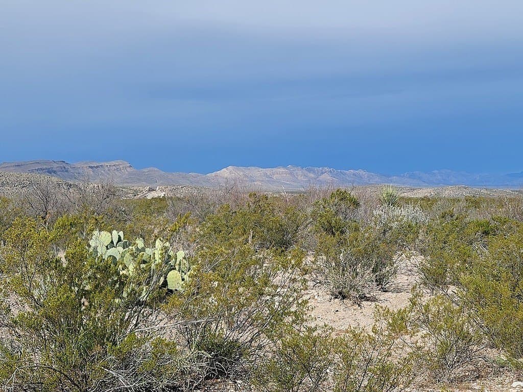 250 acres in Brewster County - photo 6