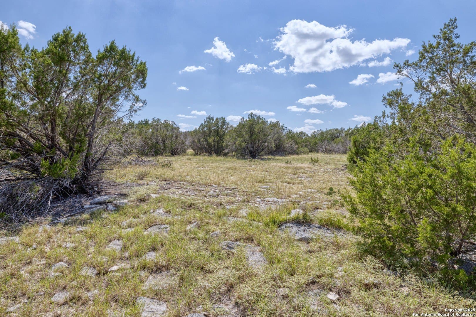 20.99 acres in Edwards County - photo 8