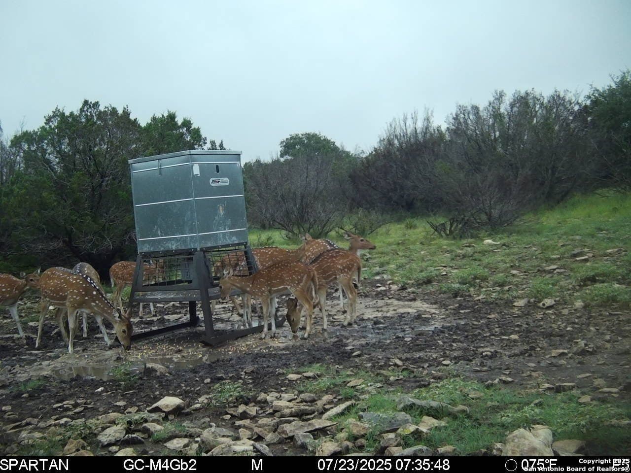 20.99 acres in Edwards County - photo 25