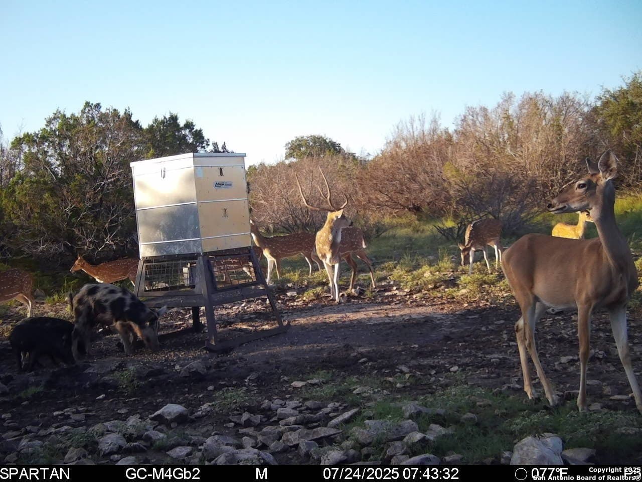 20.99 acres in Edwards County - photo 28