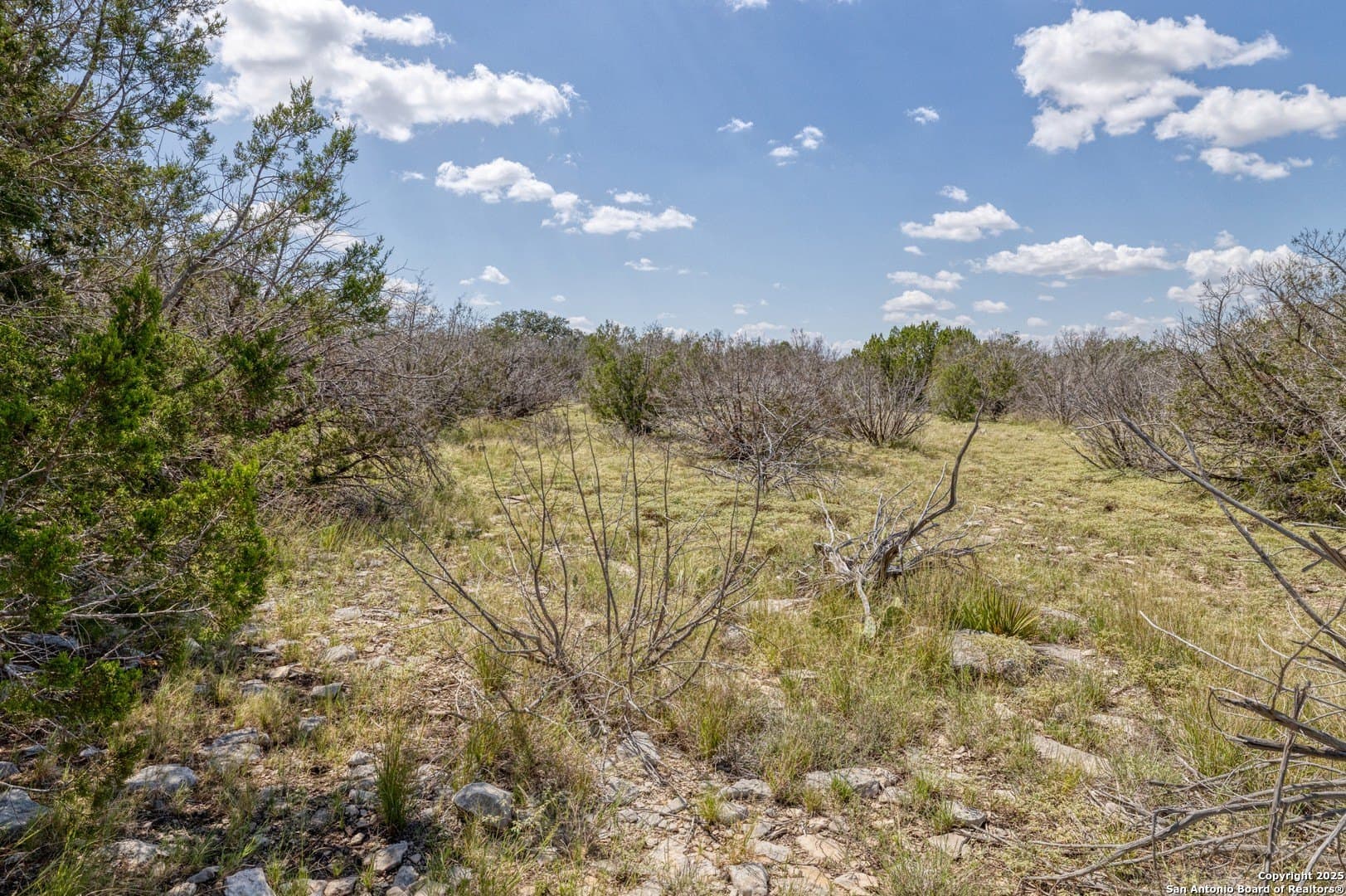 20.99 acres in Edwards County - photo 10