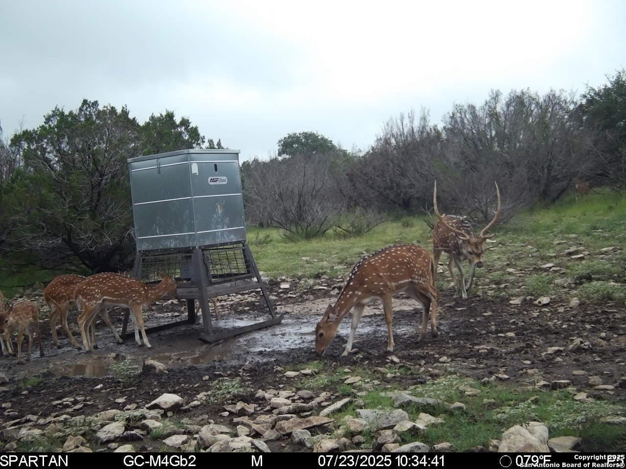 20.99 acres in Edwards County - photo 27