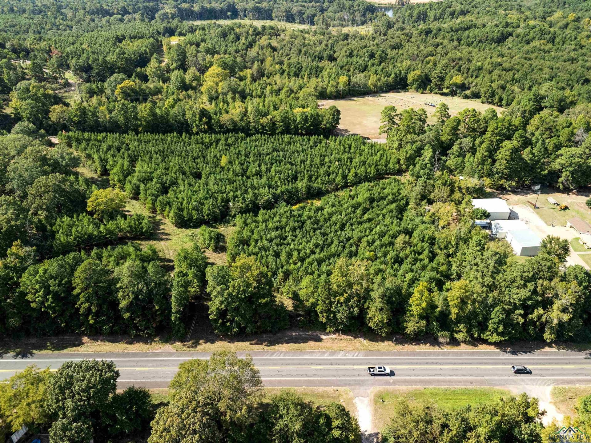 4 acres in Upshur County - photo 13