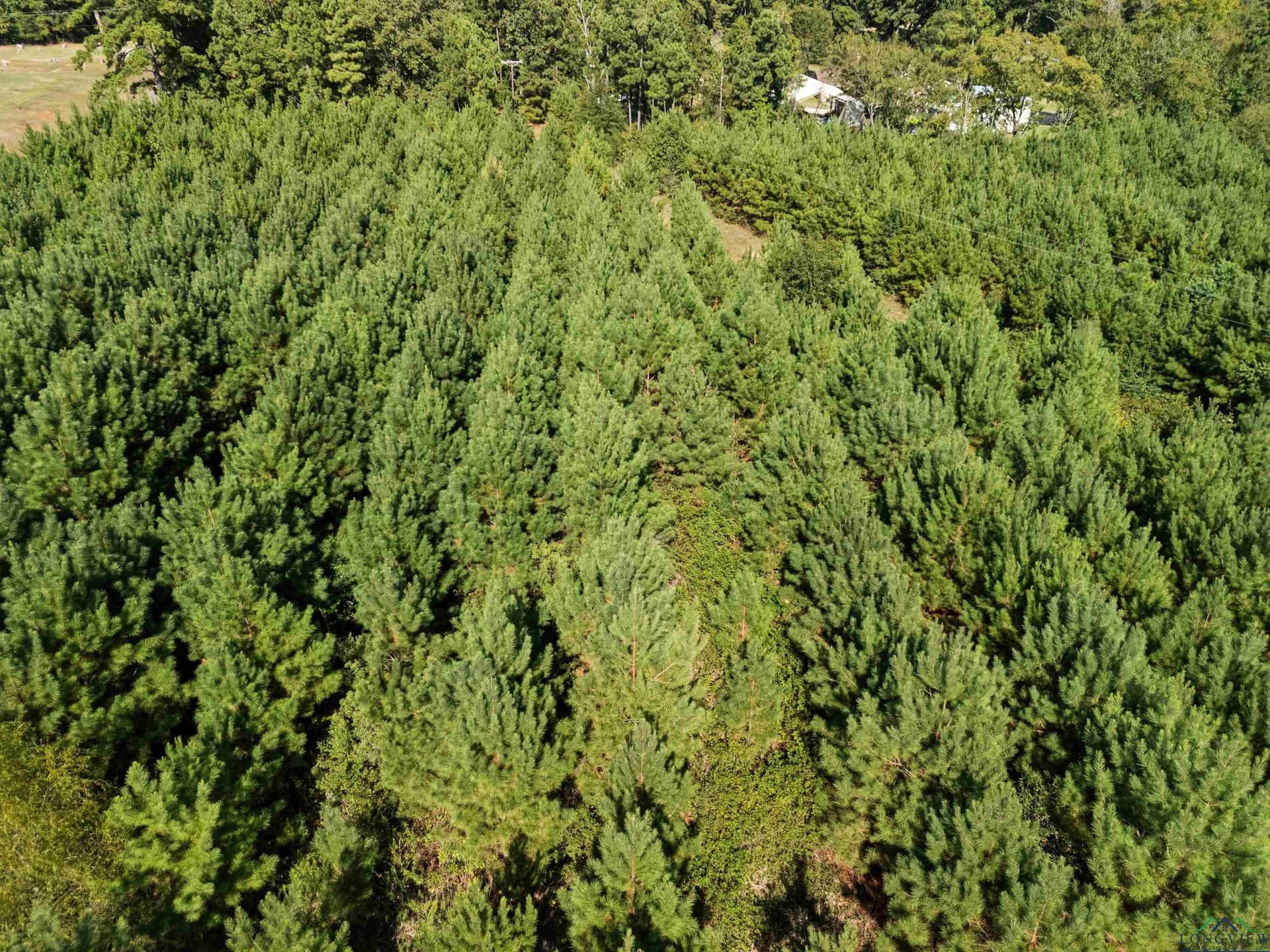 4 acres in Upshur County - photo 10