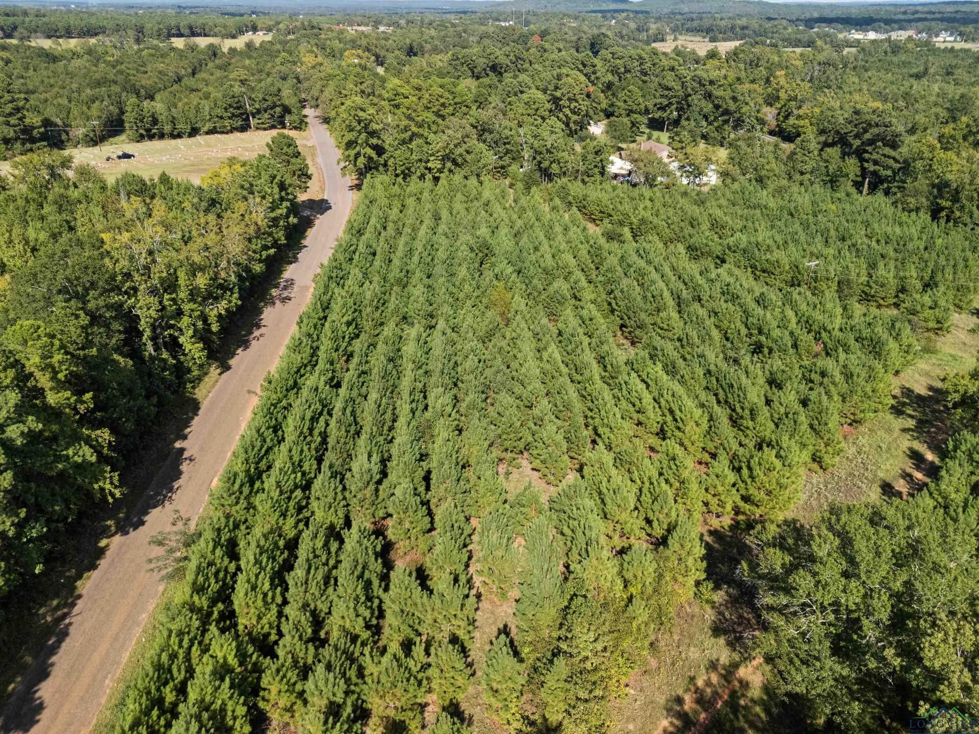 4 acres in Upshur County - photo 8