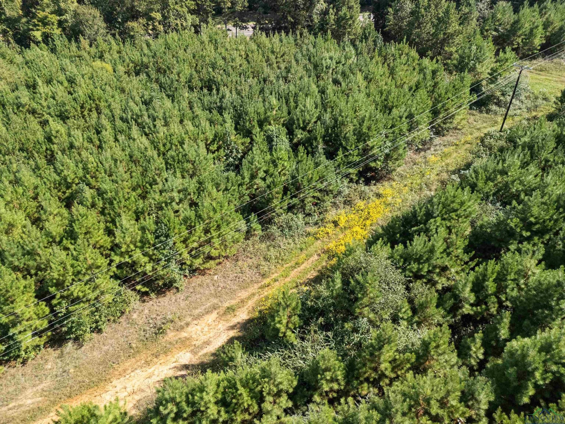 4 acres in Upshur County - photo 11