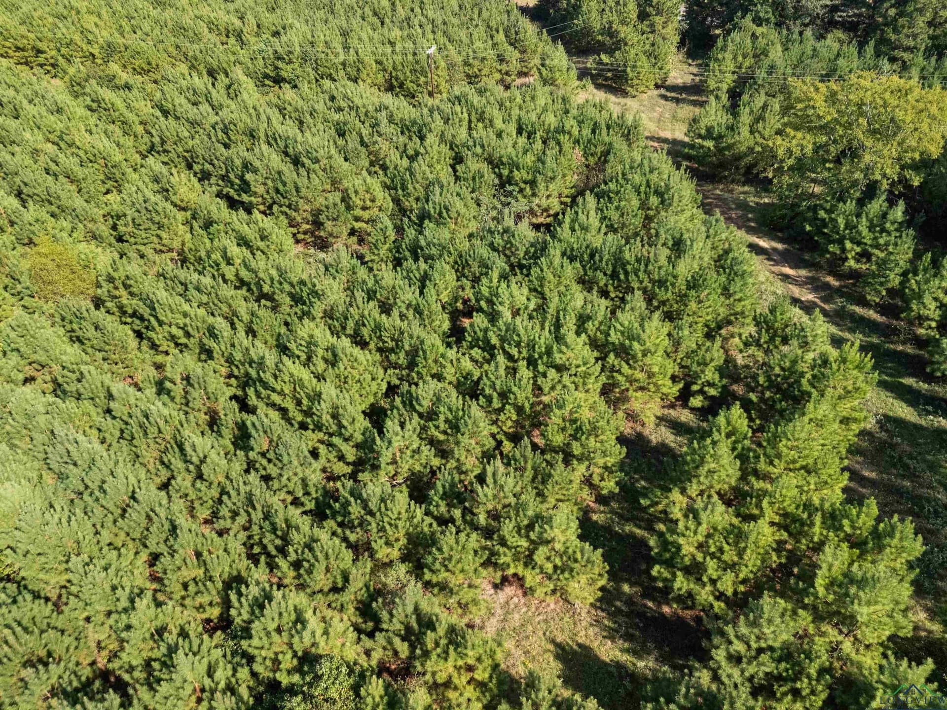 4 acres in Upshur County - photo 9