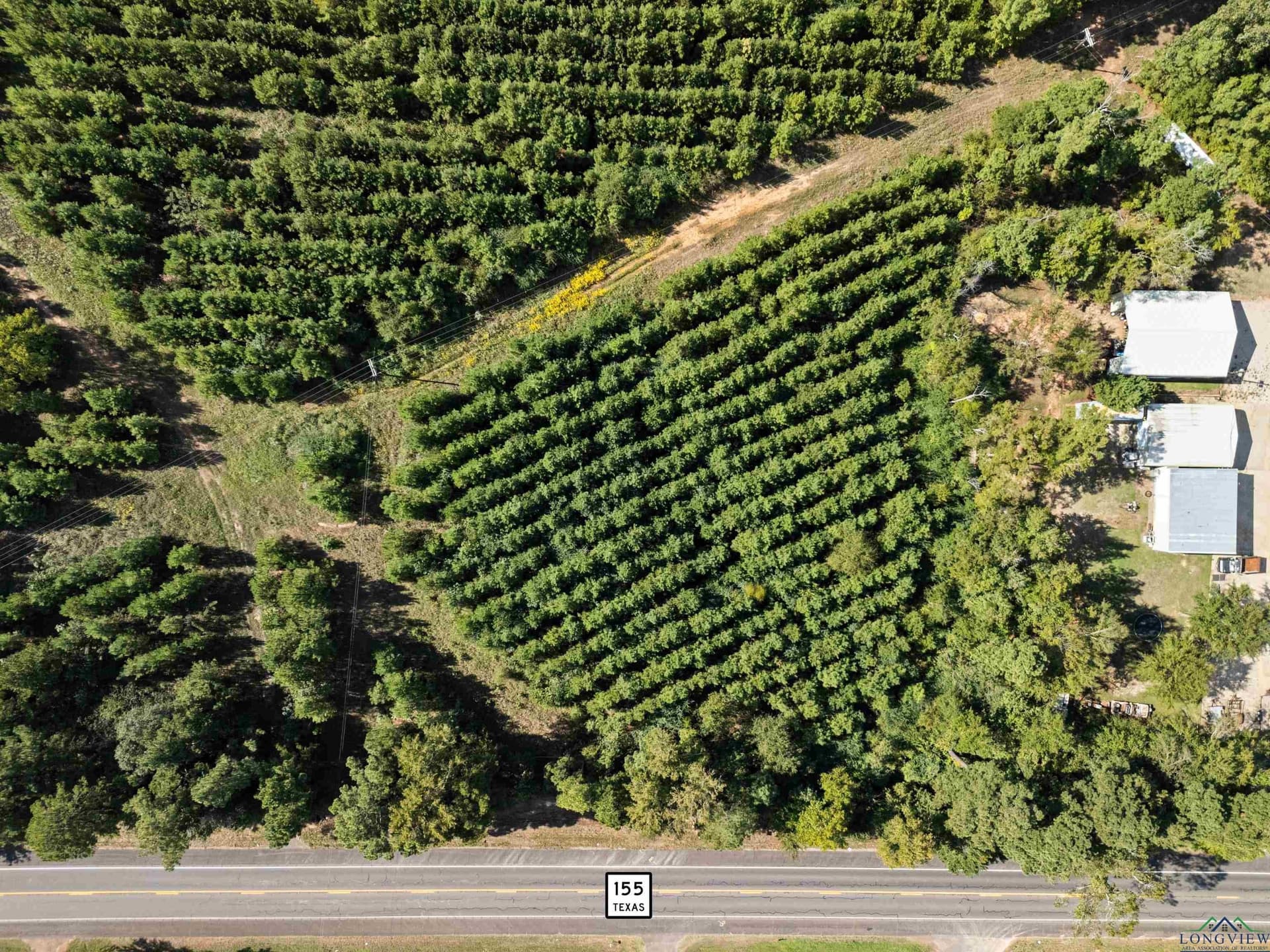 4 acres in Upshur County - photo 6