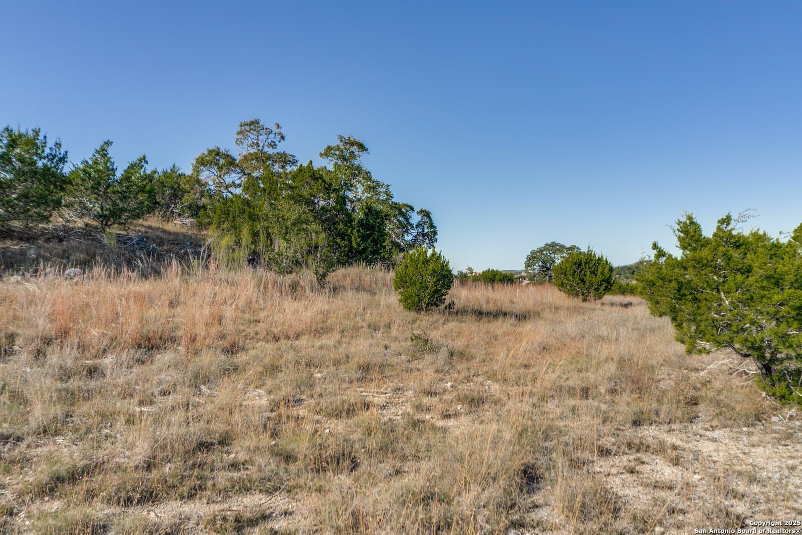 3.86 acres in Bexar County - photo 8