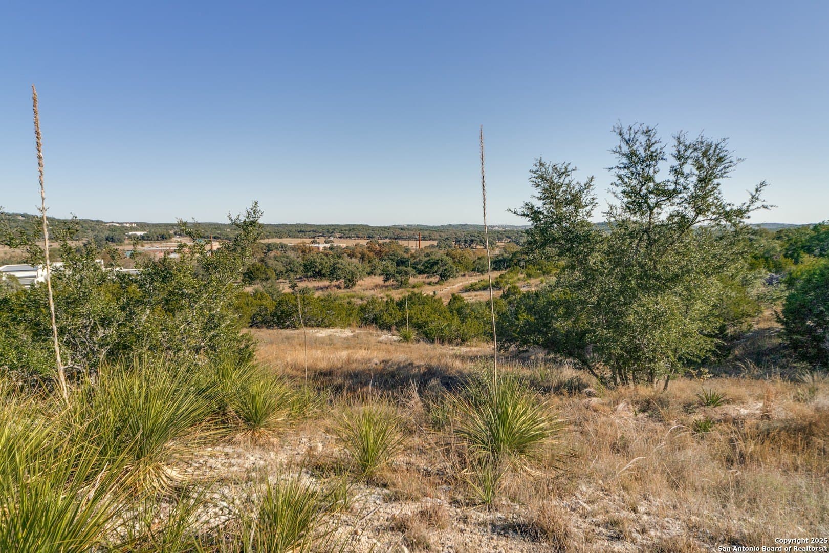 3.86 acres in Bexar County - photo 9