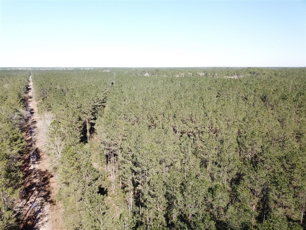 791 acres in Orange County - photo 19
