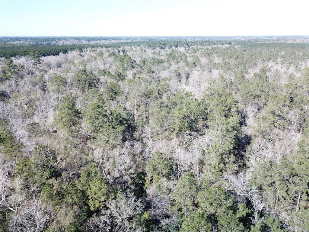 791 acres in Orange County - photo 21
