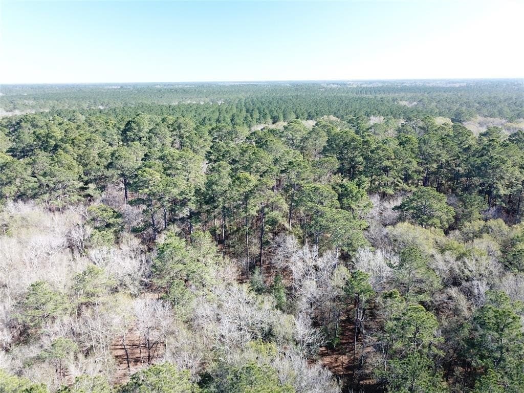 791 acres in Orange County - photo 8