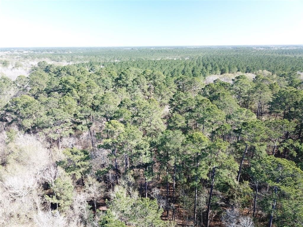 791 acres in Orange County - photo 10